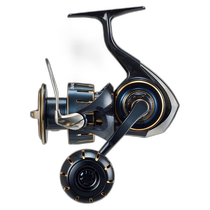 Japan direct mail Daiwa spinning fishing reel Saltiga 5000-XH 23 years model up to 100 million watts