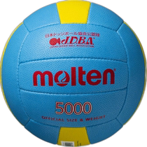 Japan Direct Mail General Volleyball