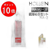 Japan direct mail Holbein watercolor acrylic brush set of 6 NA-2 204442