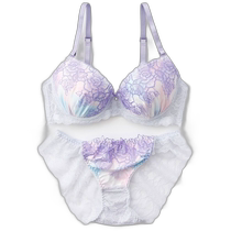 (Direct mail from Japan) palissee Womens underwear set