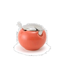 Japan direct mail Japan direct mail ZeroJapan Mino ware ceramic kitchen seasoning storage jar with spoon S140m