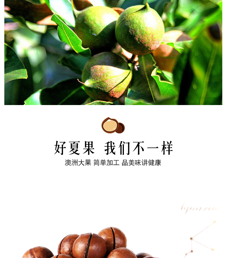 临小姐 新货 澳洲夏威夷果 250g*2罐 图6