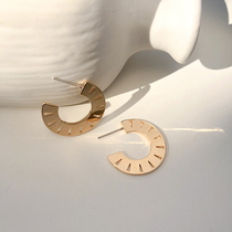 Korean Temperament Net Red Design Sensation Earrings 2020 New Tide Pure Silver Ear Nail and European Ear Accessories female lukewarm wind