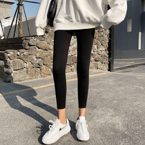 High waist beating bottom trousers female outside wearing autumn and winter thin suede grinding wool pure cotton elastic 90% tight fit and slim fit 80% pants