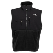European direct mail the north face mens vest