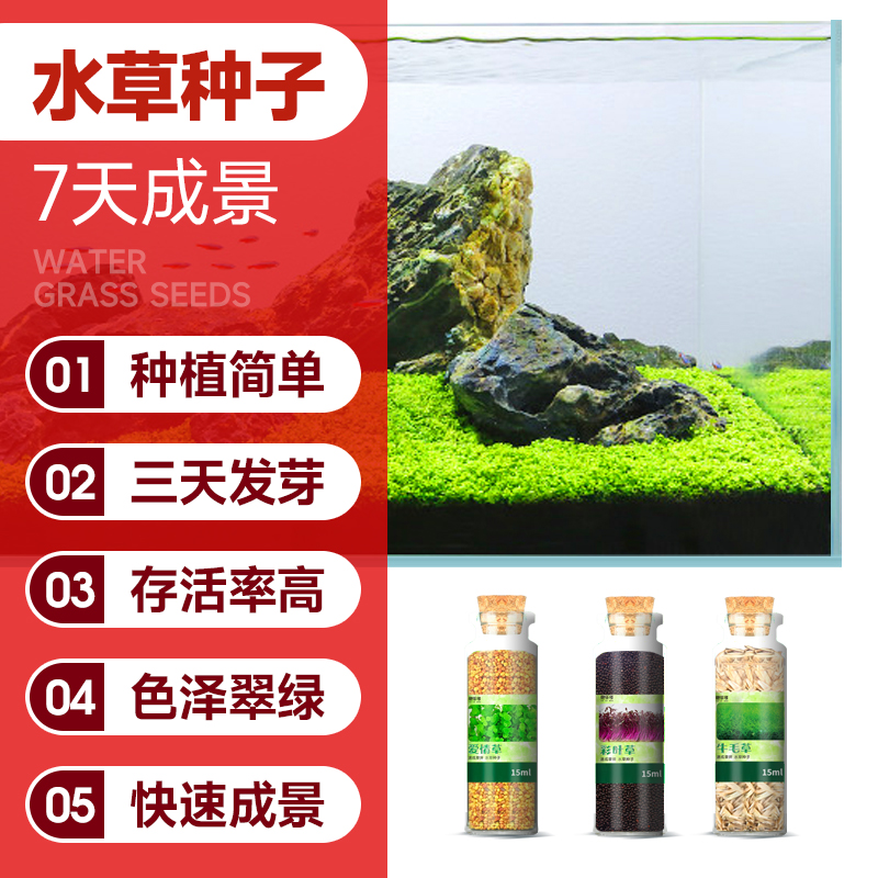 Fish tank Water Grass plant Scape Real Water Grass Seed seeds Grass Negative Plant Cattle Mullastomy Green Alga Aquatic Seeds