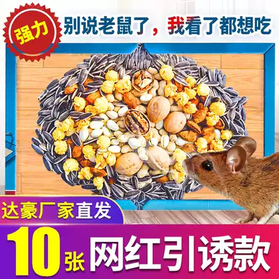Dachao super strong sticky mouse board big mouse double-sided tape home with bait melon seeds walnut peanut flavor nut diagram