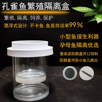 Fish tank isolation box acrylic guppy breeding box turtle fry betta fish tropical fish juveniles small fish hatching box