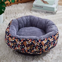 Тибетская Шиба Ину