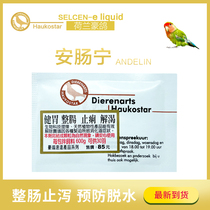 Dutch pigeon parrot Anchang Ning 5g