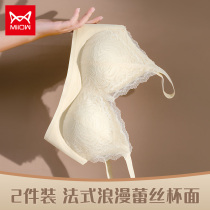 Cat person lingerie female summer thin-style lace small breasted gathering without steel ring breathable beauty back bra bra women
