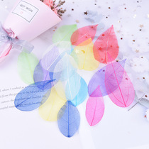 Beauty Muel Diy Hand Dry Flower Decoration Natural Diamond Leaf Vein Embossing Drop Glue Photo Frame Candle Decorative Blade