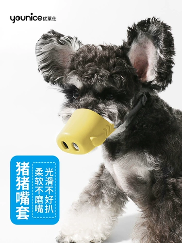 Собачья рта покрывает сетевая красная анти -салона и анти -рождественская плюшевая