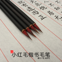 Calligraphy red sleeve small red hair Small Kai copy Sutra Small small character brush hook line for beginners Beginner wolf brush
