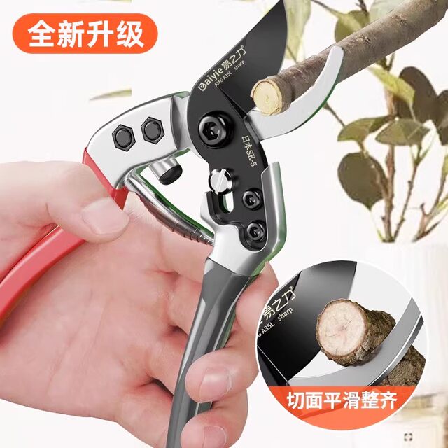 Japanese Original Pruning Shears, Gardening Scissors, Sk5 Scissors for Trimming Flowers and Branches, Specialized Scissors for Fruit Trees and Thick Branches