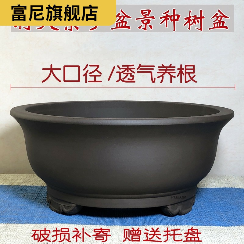 Rich, heavy heavy flowerpot miniascape of yixing ceramic flower pot pot clearance bonsai garden flowerpot be born purple