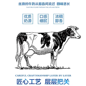 银桥牛奶酸奶整箱特价鲜活牛乳乳酸菌[10元优惠券]-寻折猪