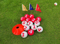 High-Chi-ball WISER* 14 yellow flags * 10 face red flags * 10 face blue flags * 1 face disc * 10