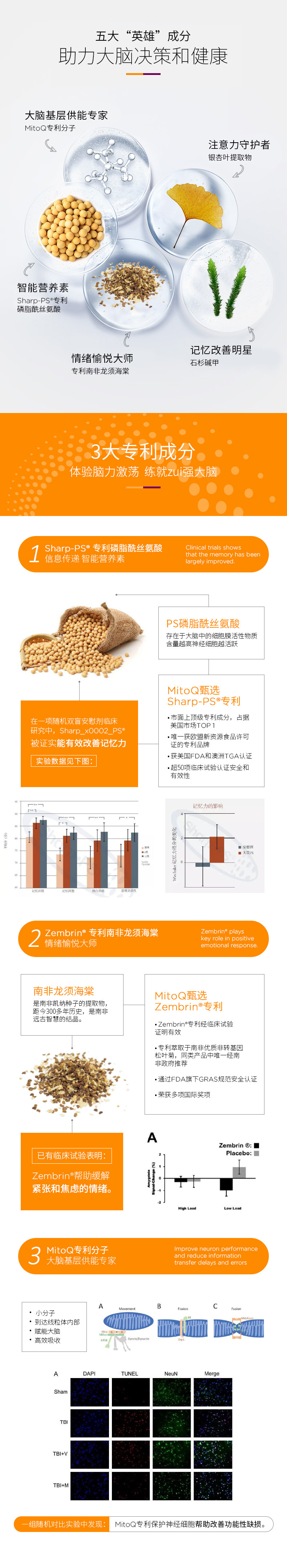 Ruizhi details_03.jpg