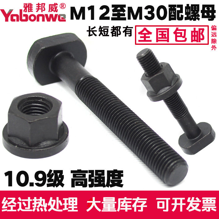10 9 grade high strength T shape T type screw lever bolt T type groove pressure plate screw 12M16M18M20M24