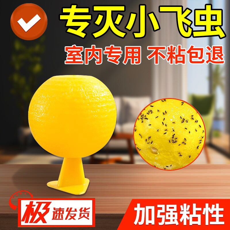 粘虫球室内去除小黑飞小飞虫克星灭杀神器厨房蚊子苍蝇果蝇诱捕器
