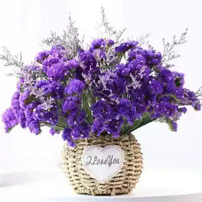 Living room bouquet dry flowers European style lavender starry net red ins decoration home furnishings dry flowers