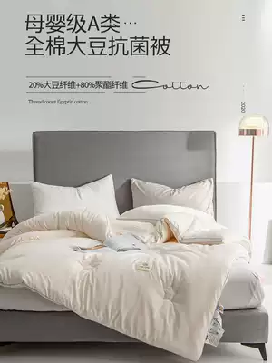 Cotton class A antibacterial soybean fiber quilt spring and autumn quilt pure cotton thickened winter quilt quilt four seasons universal quilt core