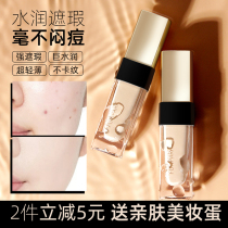 Small gold tube concealer freckle counter brand dazzling pen Li Jiaqi recommended artifact spot face