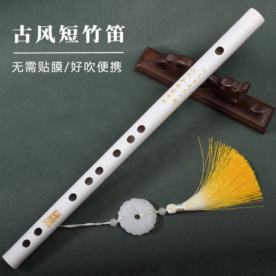 Flûte de style ancien Sha Po Lang Gu Yun flûte de bambou piccolo blanc flûte traversière entrée débutant étudiant novice instrument de musique photo