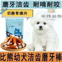 More than a bear dog special pooch grindle dentity grilled cheese chicken around teddy gold wool pets for two or three months