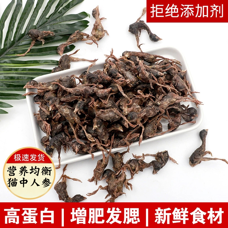 Air-dry quail pet snacks freeze-dried training kittens reward small snacks gain weight gain blush nutrition cat food meat dry