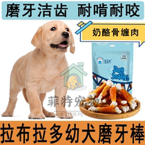 Labrador dog dedicated pooch grindle for two months apart from mouth stink and bite-resistant golden fur puppies pet dog snacks