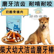 Chai Dog Special Pooch Grindle Dentity Dentity Grilled Cheese Chicken Around Teddy Golden Fur Young Adult dog for two or three months