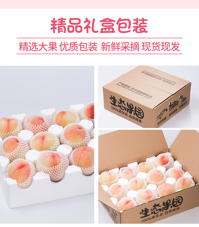 正宗无锡阳山 水蜜桃 12个 单个5两左右 图6