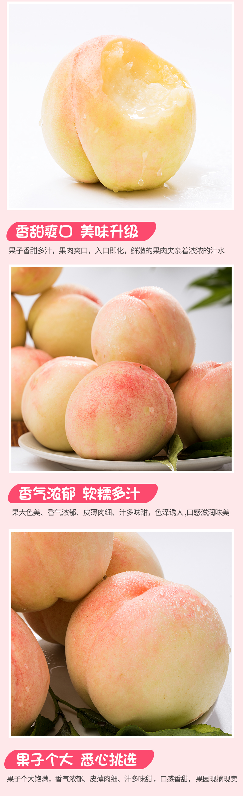 正宗无锡阳山 水蜜桃 12个 单个5两左右 图5