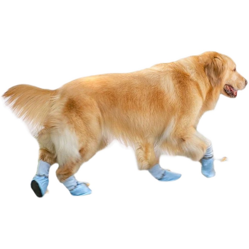 Brand Secret sale | Broken Yard Clearance | ten billion Subsidy for surrounding-Taobao such as pet album postcards