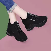 Увеличьте черно -белое в течение 2090 года