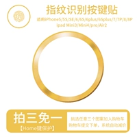 Золотой край