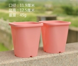 Пластиковый горшок с цветочным горшкам уксусный соус Специальный цветочный горшок Специальный цветочный горшок, розовая полисамония растение виентианское уксусное соус Специальный горшок