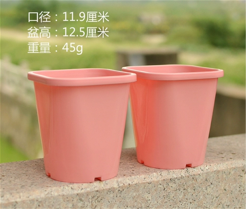 Пластиковый горшок с цветочным горшкам уксусный соус Специальный цветочный горшок Специальный цветочный горшок, розовая полисамония растение виентианское уксусное соус Специальный горшок