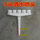 Садовые фермеры Полевы в саду