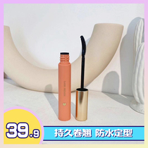 Li Classmates Beauty Makeup Shop UKISS Eyelash Beat Base Paste Styling Durable Waterproof Roll Up Brown Without Fainting