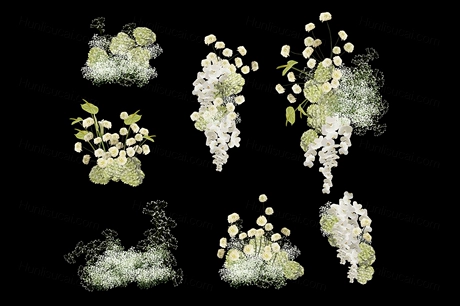白色绿色满天星婚礼花艺手绘素材小众白绿色系婚礼花艺图效果图-婚礼素材网