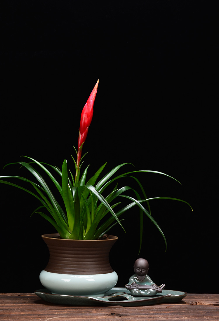Creative ceramic flower POTS with tray was contracted household basin grow rich tree orchids dedicated desktop green plant pot