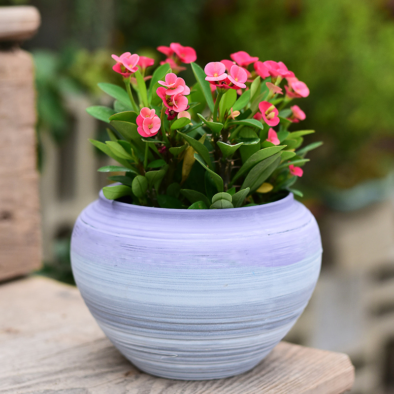 Indoor home sitting room office desktop green plant pot pot, ceramic breathable violet arenaceous coarse pottery flowerpot more meat