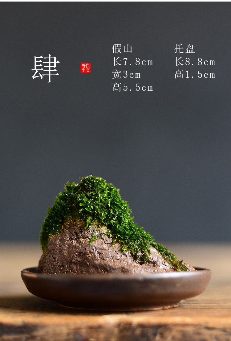 Hydroponic micro landscape moss landscaping the plants flower pot desktop furnishing articles coarse pottery suction stone rockery miniascape family decoration