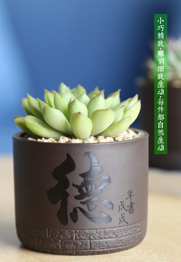 Fleshy flower pot in creative ceramic custom engraving LOGO text breathable contracted the desktop, the plants potted violet arenaceous basin