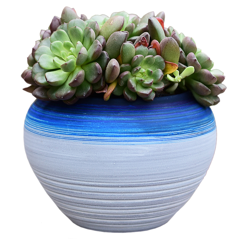 Indoor home sitting room office desktop green plant pot pot, ceramic breathable violet arenaceous coarse pottery flowerpot more meat