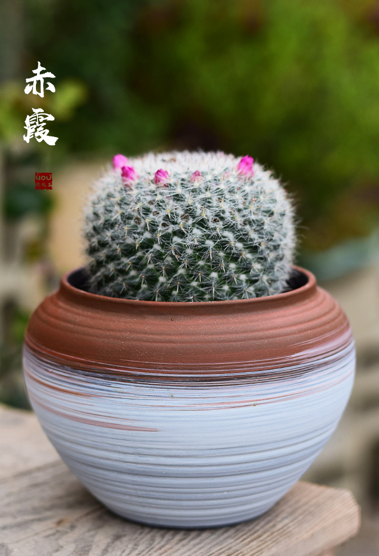 Indoor home sitting room office desktop green plant pot pot, ceramic breathable violet arenaceous coarse pottery flowerpot more meat