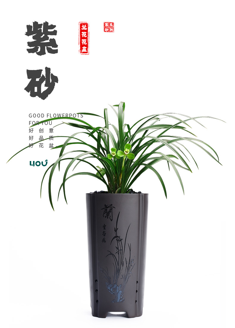 Indoor green plant desktop potted clivia bracketplant basin ceramic high special orchid large breathable purple sand flowerpot